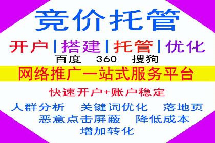 某知名品牌SEM运营策略及效果评估